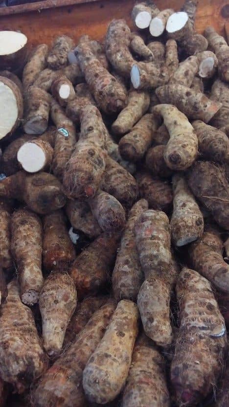 Cocoyam