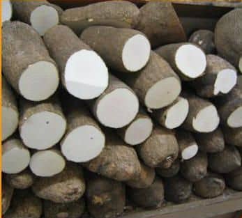 Yam